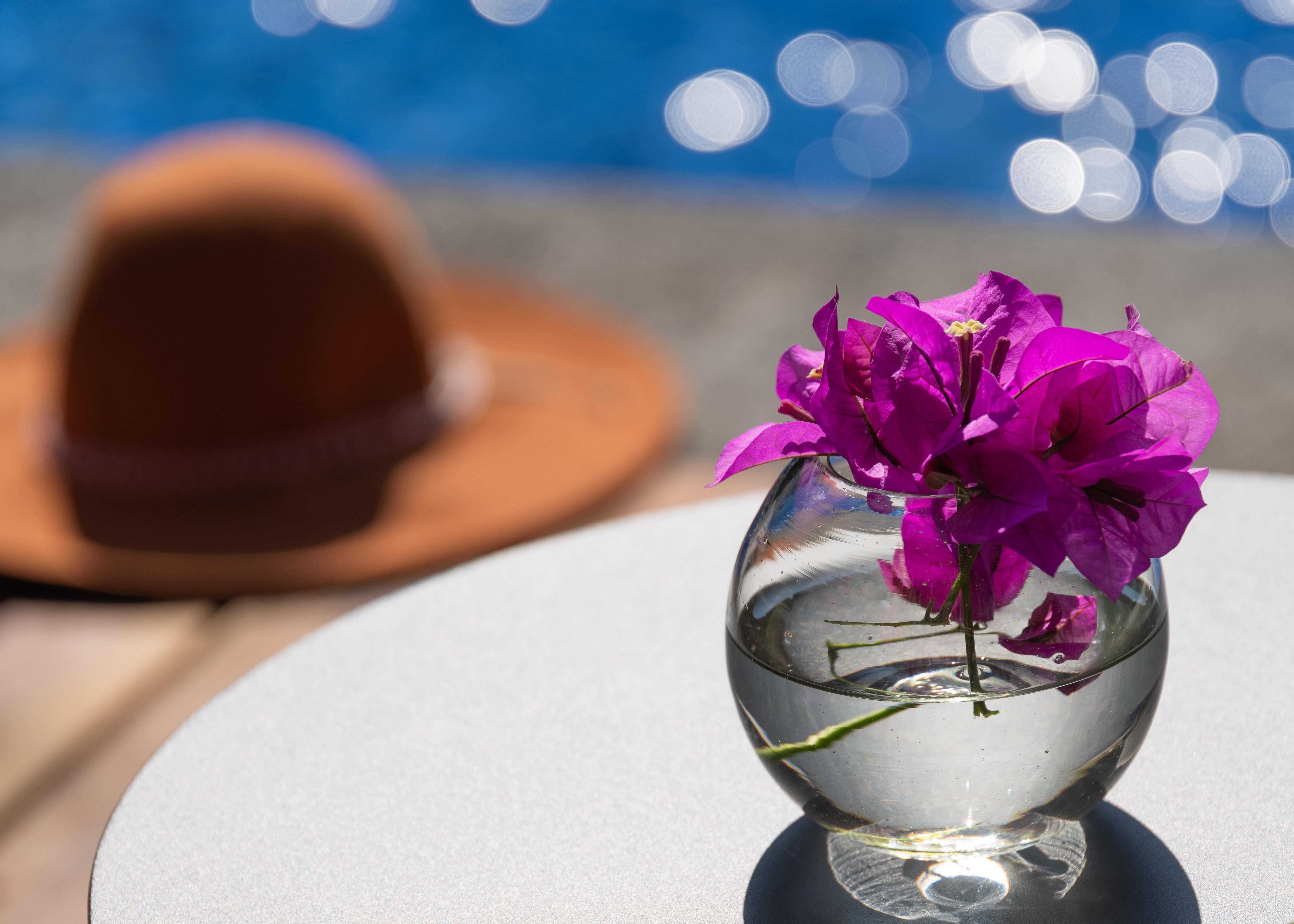 Matian Hotel Boutique Tequisquiapan Eksteriør bilde